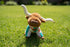Plush Southwest Animals