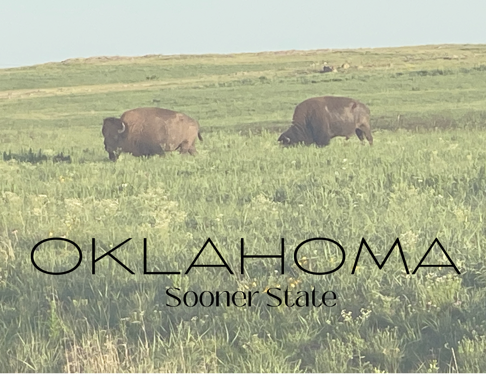 Oklahoma Postcards