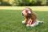 Plush Southwest Animals
