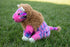 Plush Southwest Animals