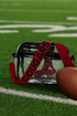 Stadium Bag