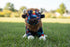 Plush Southwest Animals