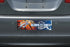 OKC Thunder Decals