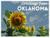 Oklahoma Postcards